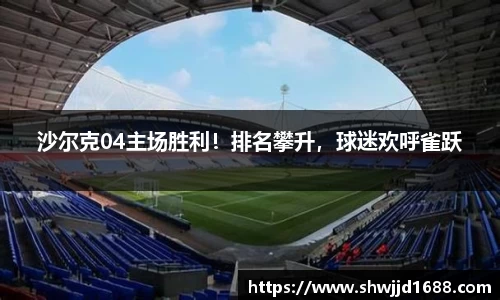沙尔克04主场胜利！排名攀升，球迷欢呼雀跃
